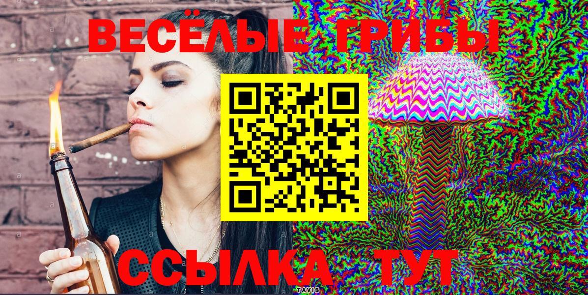 Железногорск  Галлюциногенные грибы Psilocybe  Вход с VPN 